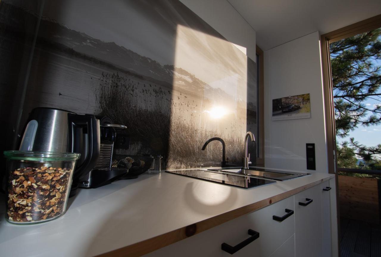 Appartement Traumblick Weinböhla Dış mekan fotoğraf